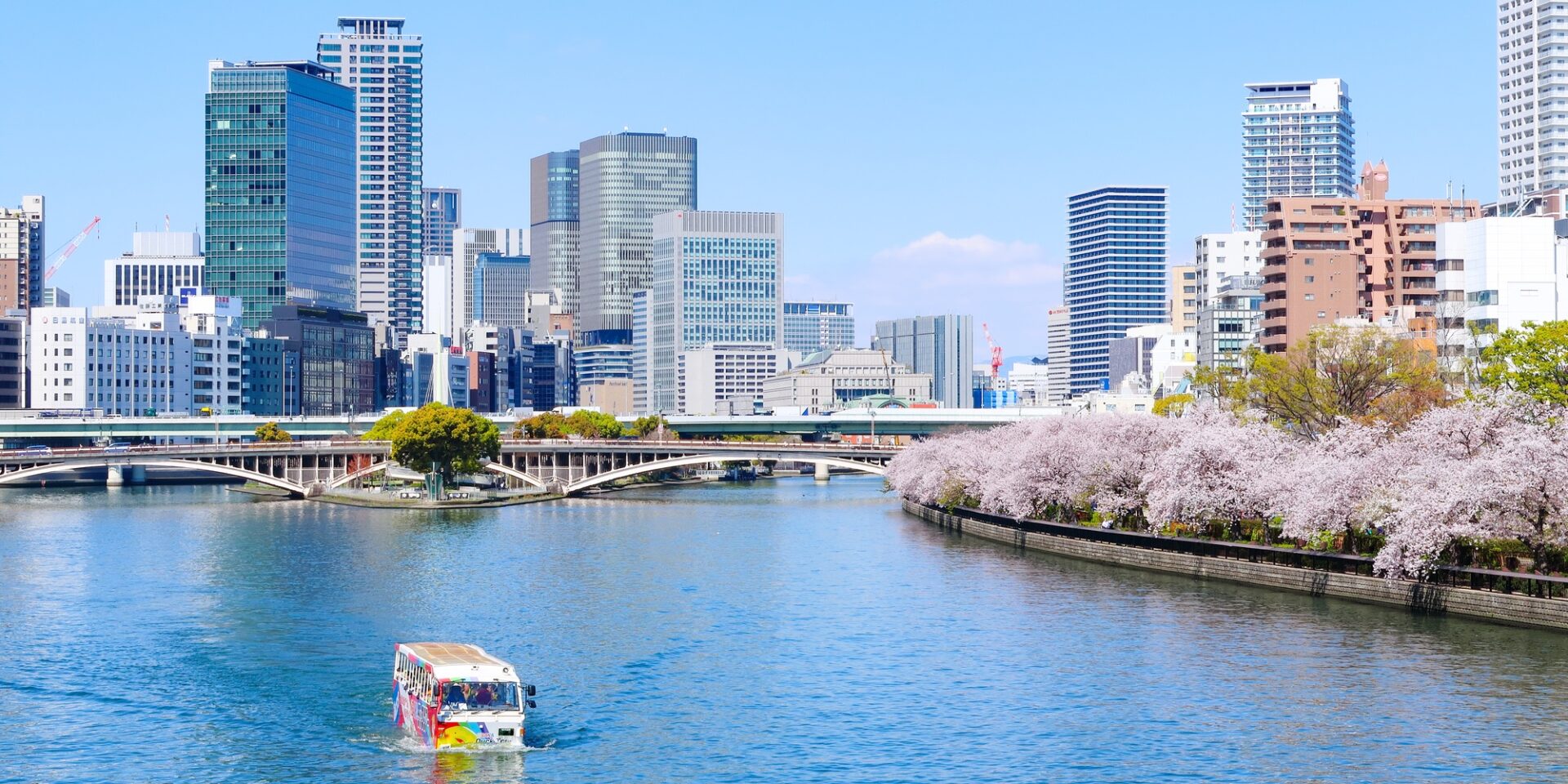 【大阪駅から約20分で行ける駅周辺のウィークリーおすすめイベント】 京阪本線「天満橋駅」から徒歩3分！期間限定「大阪ダックツアーお花見臨時便」をご紹介