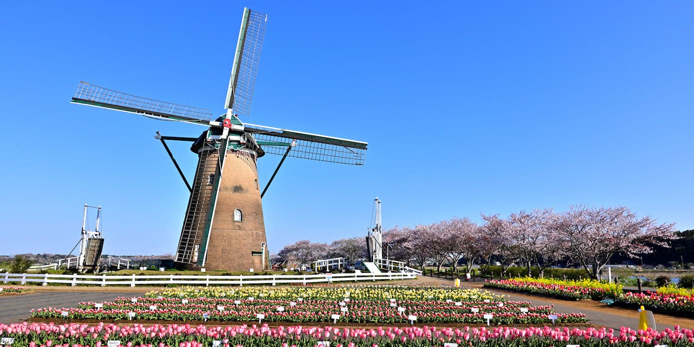 【駅近くの英会話教室もわかる】千葉エリアでおすすめの英会話教室|教室選びのポイントや申し込みまでの流れも庄騎亜