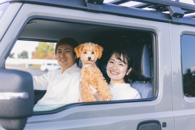 富士急ハイランド　車
