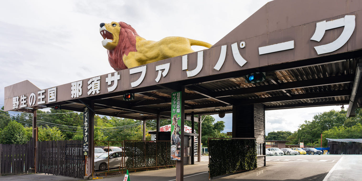 那須サファリパークのチケット料金が割引に！お得なクーポン情報