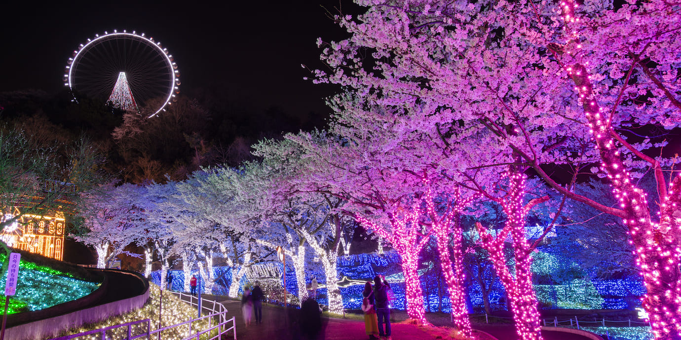 プレジャーフォレスト