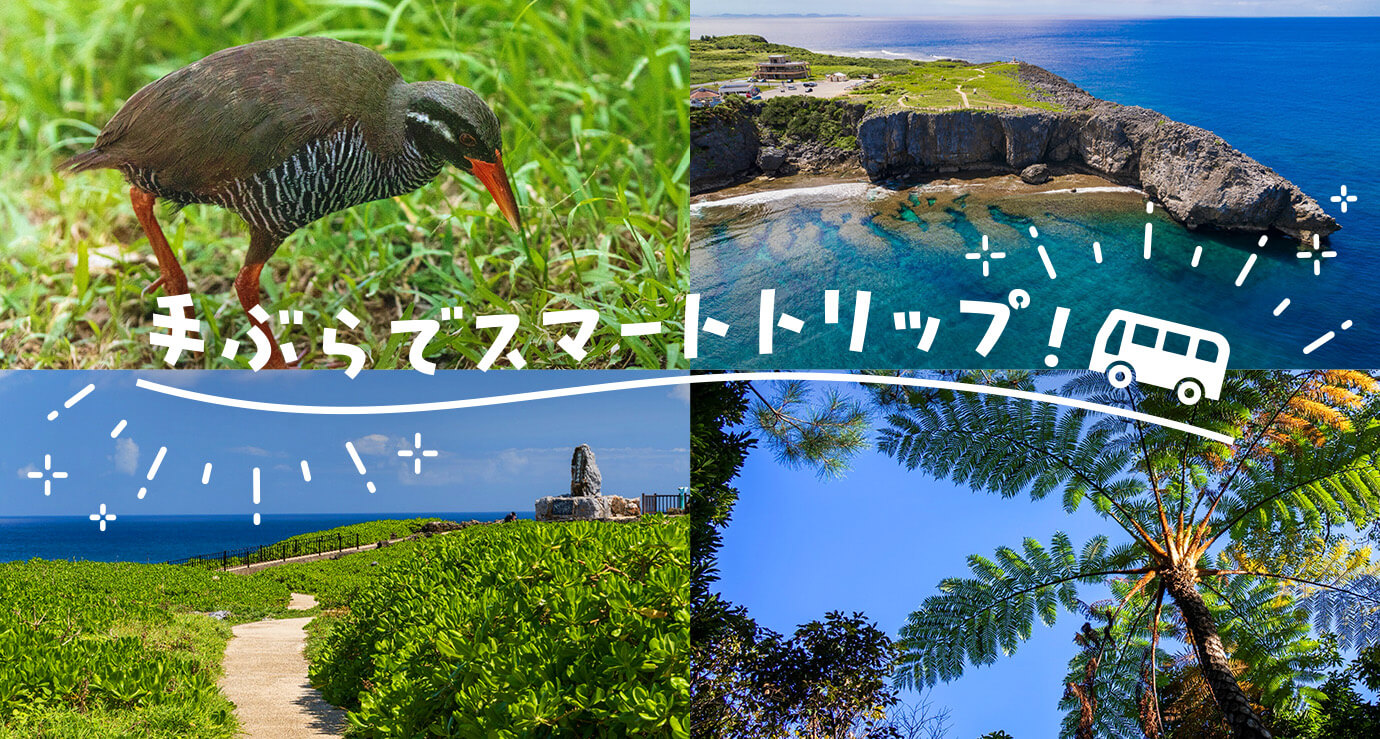 国頭村の進化する観光交通　周遊バス・AIオンデマンドバスを利用すれば車なしでも快適な旅が実現！