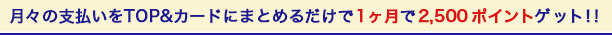 X̎xTOPJ[hɂ܂Ƃ߂邾12,500|CgQbgII